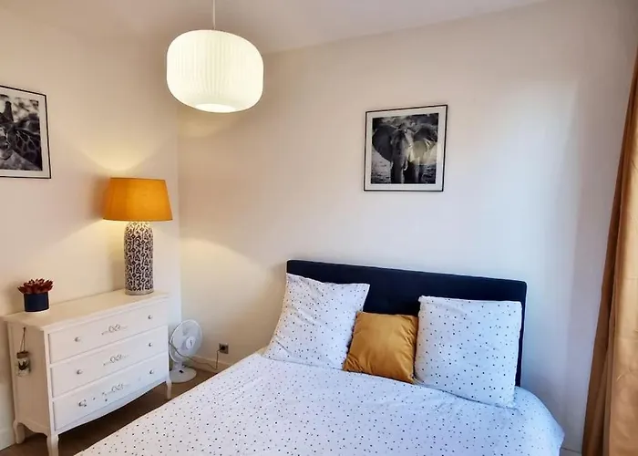 T3 Deluxe's Avec Terrasse Appartement Toulouse